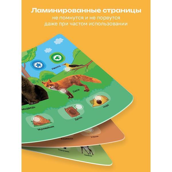 https://img.mvideo.ru/Pdb/400476499b11.jpg