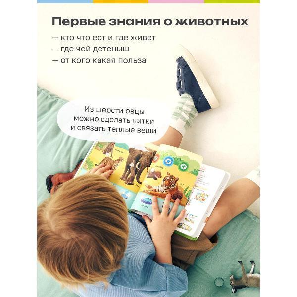 https://img.mvideo.ru/Pdb/400476499b6.jpg