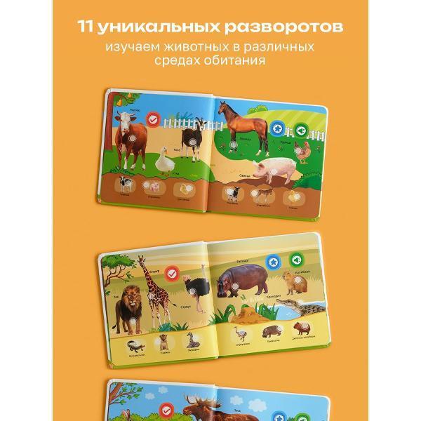 https://img.mvideo.ru/Pdb/400476499b9.jpg