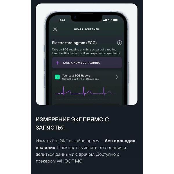 https://img.mvideo.ru/Pdb/400476796b2.jpg