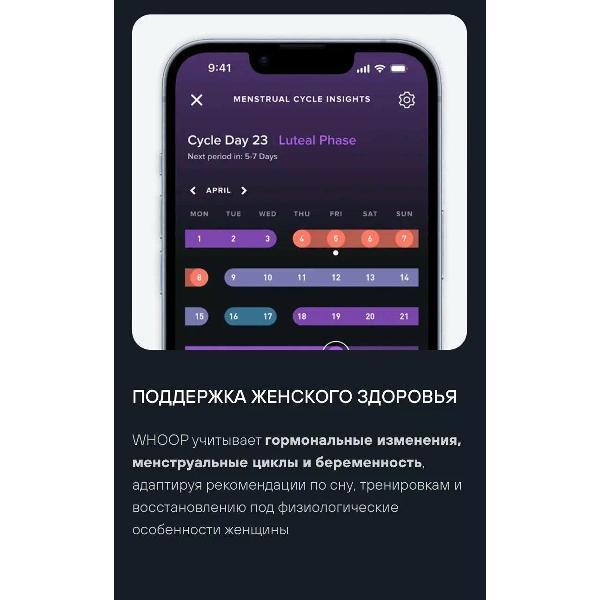 https://img.mvideo.ru/Pdb/400476796b4.jpg