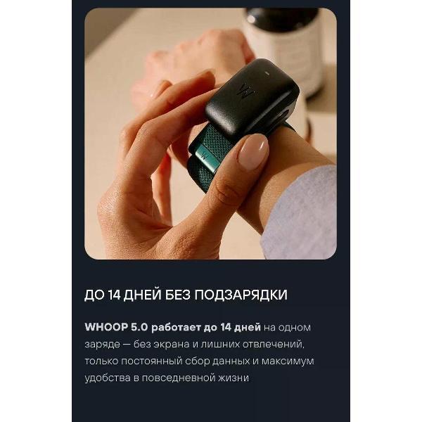 https://img.mvideo.ru/Pdb/400476796b6.jpg