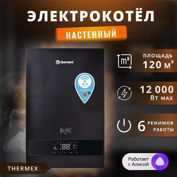 Thermex | Котел электрический Thermex Boss 12 Wi-Fi черный
