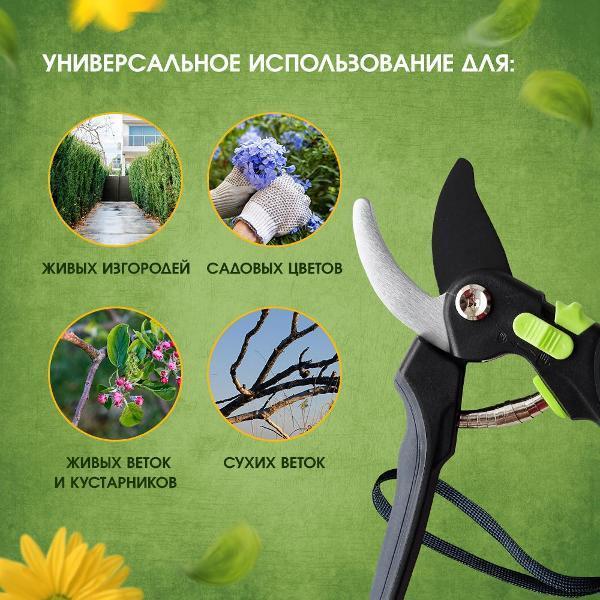 https://img.mvideo.ru/Pdb/400478764b3.jpg