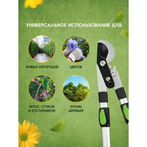 https://img.mvideo.ru/Pdb/400478773b5.jpg