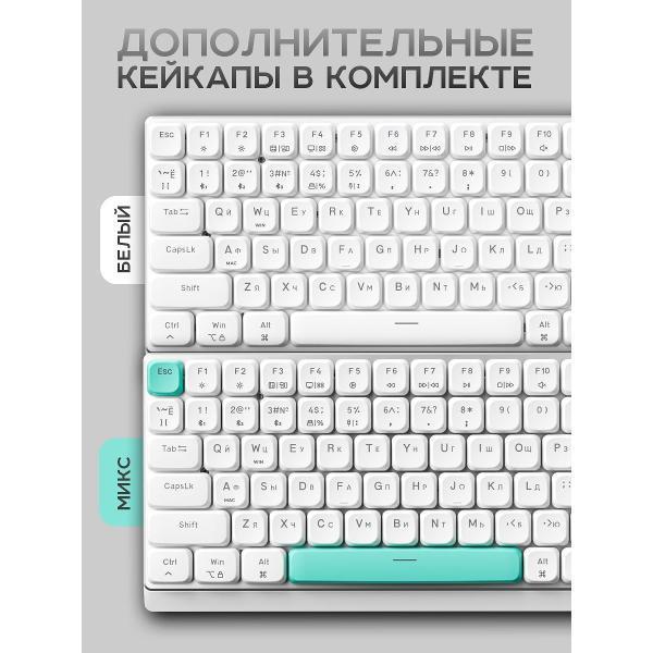 https://img.mvideo.ru/Pdb/400481978b10.jpg