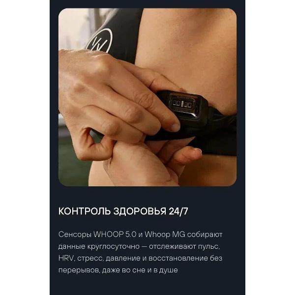 https://img.mvideo.ru/Pdb/400495242b12.jpg