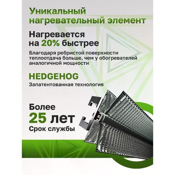 https://img.mvideo.ru/Pdb/400495659b2.jpg