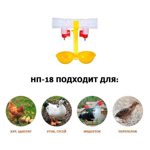 https://img.mvideo.ru/Pdb/400497494b7.jpg