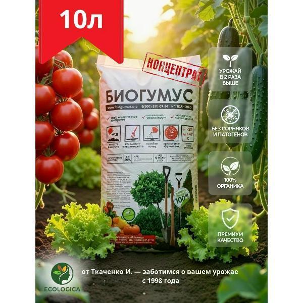 https://img.mvideo.ru/Pdb/400514605b.jpg