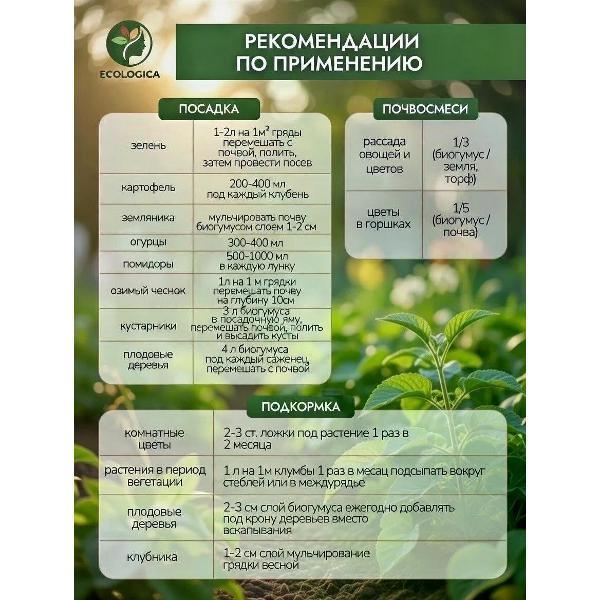 https://img.mvideo.ru/Pdb/400518705b4.jpg