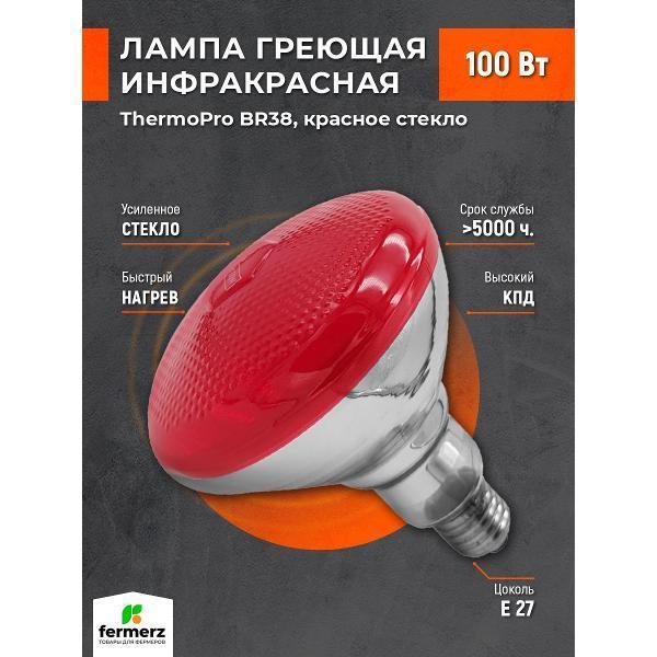 https://img.mvideo.ru/Pdb/400528798b.jpg