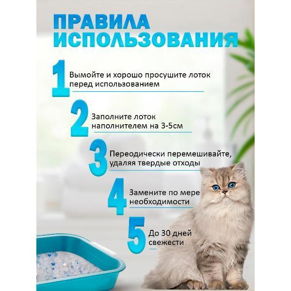 https://img.mvideo.ru/Pdb/400542866b2.jpg