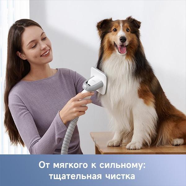 https://img.mvideo.ru/Pdb/400544360b10.jpg
