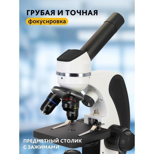 https://img.mvideo.ru/Pdb/400547105b4.jpg