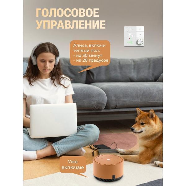 https://img.mvideo.ru/Pdb/400554554b7.jpg