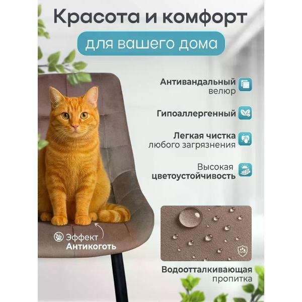 https://img.mvideo.ru/Pdb/400563727b1.jpg