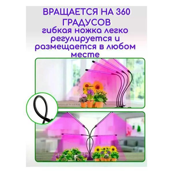 https://img.mvideo.ru/Pdb/400568496b1.jpg