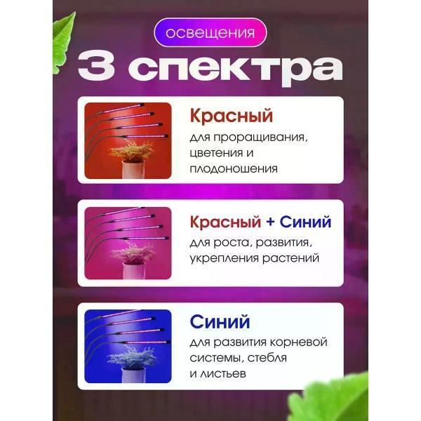 https://img.mvideo.ru/Pdb/400568496b11.jpg