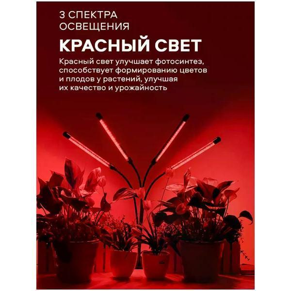 https://img.mvideo.ru/Pdb/400568496b12.jpg