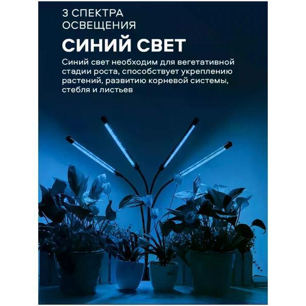 https://img.mvideo.ru/Pdb/400568496b13.jpg
