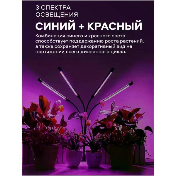 https://img.mvideo.ru/Pdb/400568496b14.jpg
