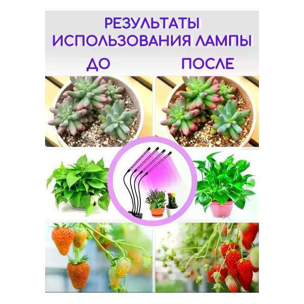 https://img.mvideo.ru/Pdb/400568496b2.jpg