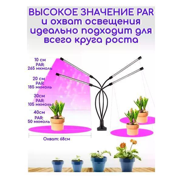https://img.mvideo.ru/Pdb/400568496b5.jpg