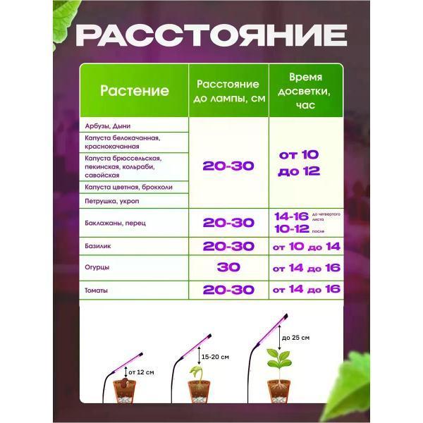 https://img.mvideo.ru/Pdb/400568496b7.jpg