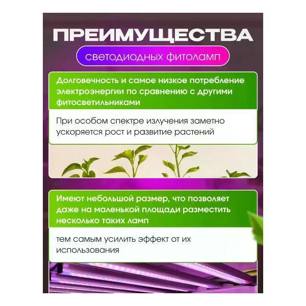 https://img.mvideo.ru/Pdb/400568496b8.jpg