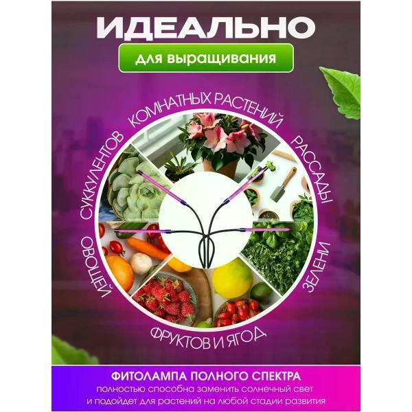 https://img.mvideo.ru/Pdb/400568496b9.jpg