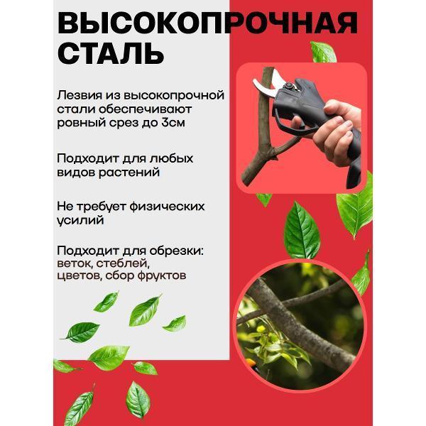 https://img.mvideo.ru/Pdb/400600827b3.jpg
