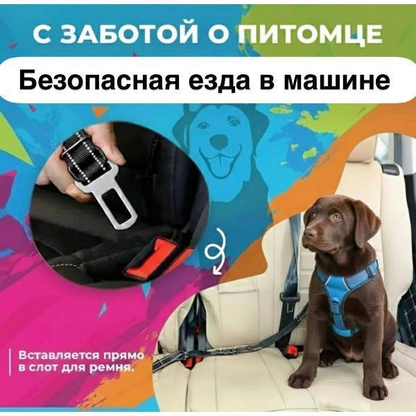 https://img.mvideo.ru/Pdb/400615614b4.jpg