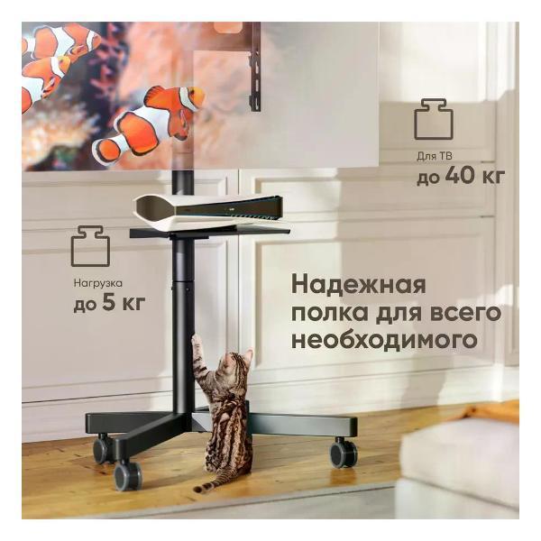 https://img.mvideo.ru/Pdb/400619916b2.jpg