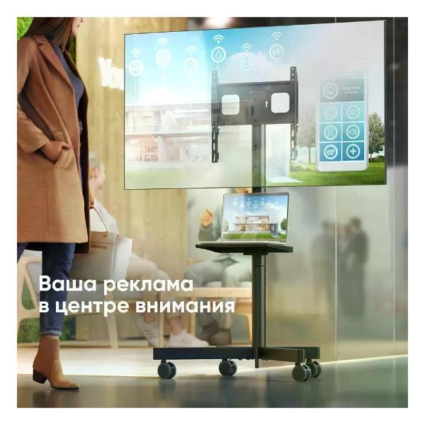 https://img.mvideo.ru/Pdb/400619916b3.jpg