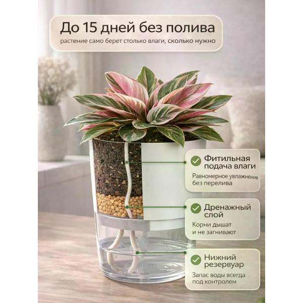 https://img.mvideo.ru/Pdb/400620776b3.jpg