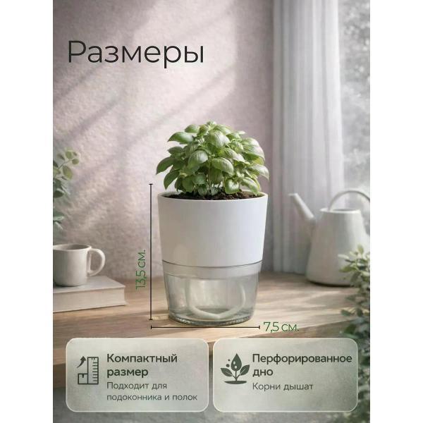https://img.mvideo.ru/Pdb/400620776b7.jpg