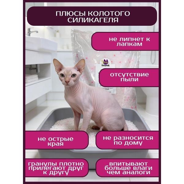 https://img.mvideo.ru/Pdb/400680560b2.jpg
