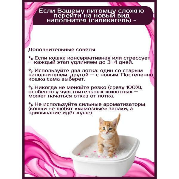 https://img.mvideo.ru/Pdb/400680560b5.jpg