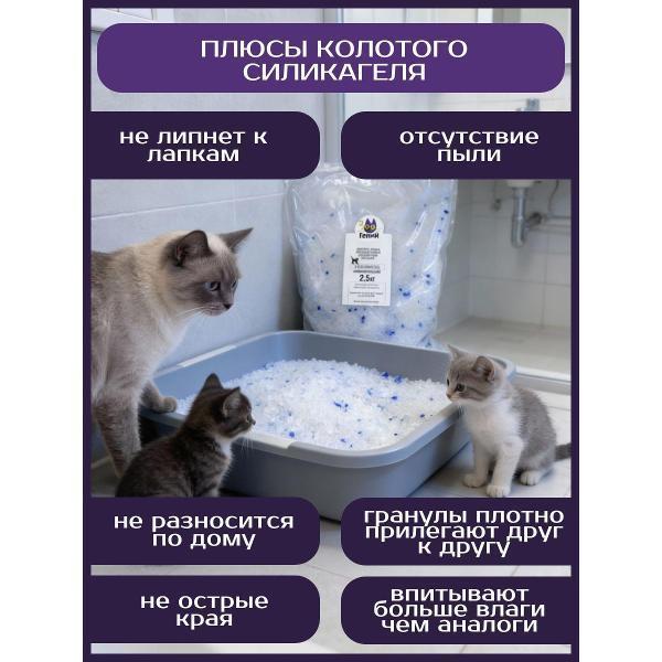 https://img.mvideo.ru/Pdb/400688382b2.jpg