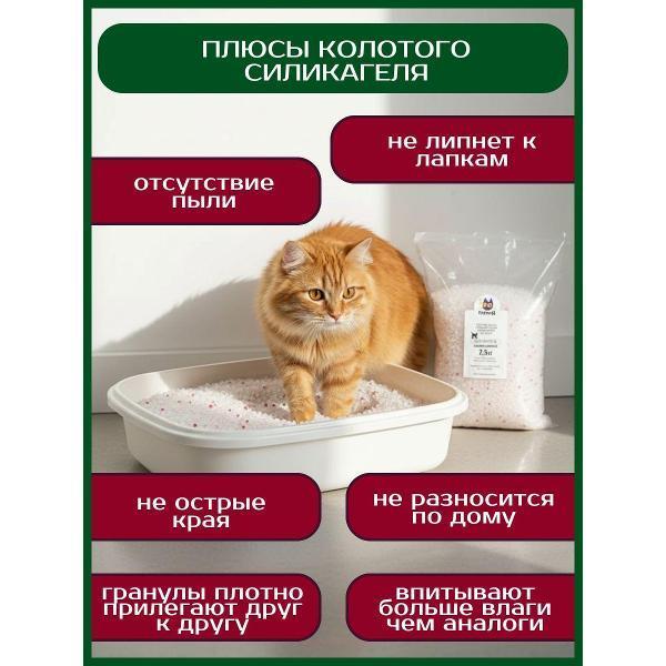https://img.mvideo.ru/Pdb/400688383b2.jpg
