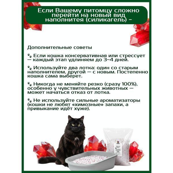 https://img.mvideo.ru/Pdb/400688383b5.jpg