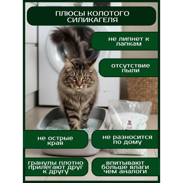 https://img.mvideo.ru/Pdb/400688384b1.jpg