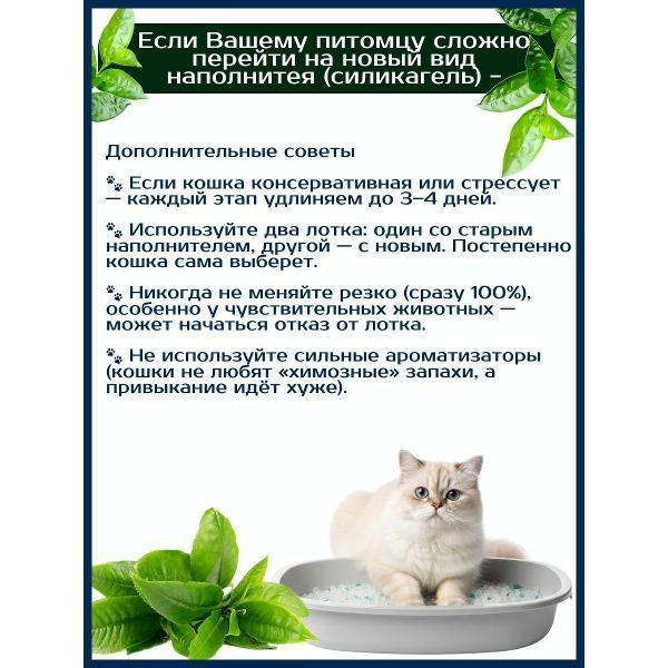 https://img.mvideo.ru/Pdb/400688384b5.jpg
