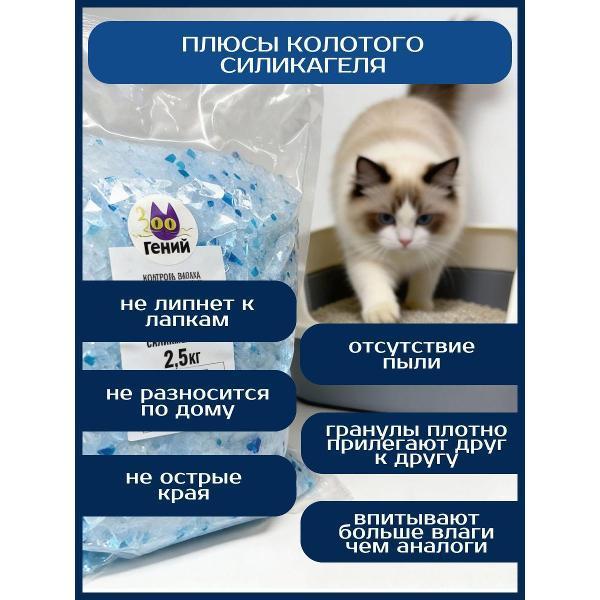 https://img.mvideo.ru/Pdb/400688385b1.jpg