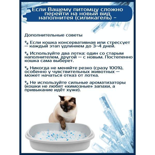 https://img.mvideo.ru/Pdb/400688385b5.jpg