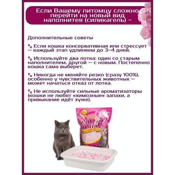 https://img.mvideo.ru/Pdb/400692577b6.jpg