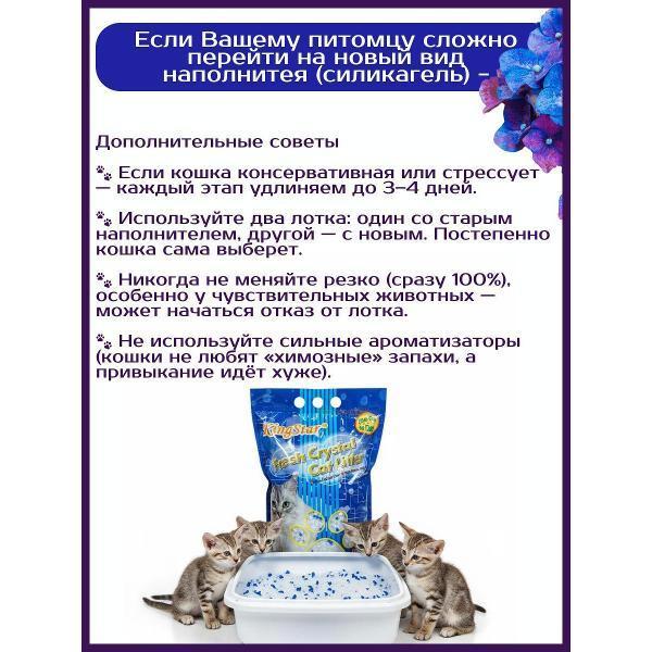 https://img.mvideo.ru/Pdb/400692579b6.jpg