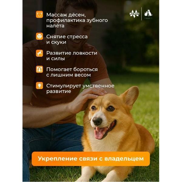 https://img.mvideo.ru/Pdb/400720958b4.jpg