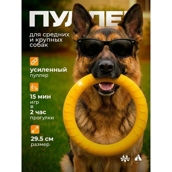 https://img.mvideo.ru/Pdb/400721599b.jpg
